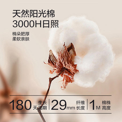 【雅鹿秋裤女士保暖裤】纯棉薄款修身 秋冬内穿打底裤女款 棉毛衬裤全棉多款颜色可选 商品图3