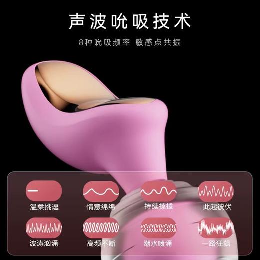 SONA 索娜一代 商品图1