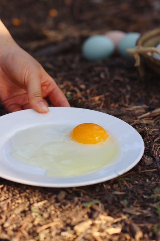 每月一囤！【预售】【散养土鸡蛋】纯粮慢养+散放觅食，拒绝激素、抗生素，拒绝高密度笼养，拒绝速成鸡，生态间小群散养。 商品图1