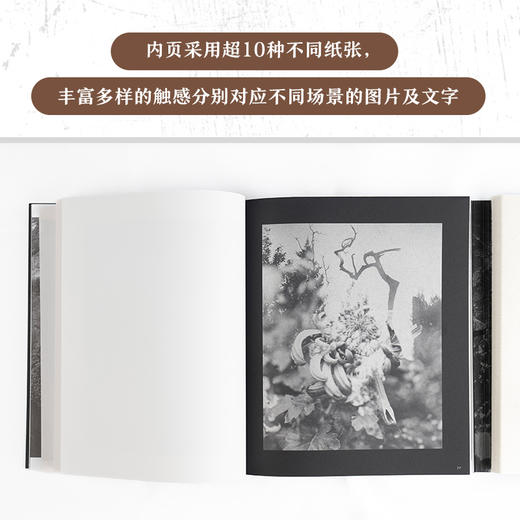 不朽的林泉 商品图3