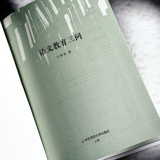 语文教育三问 大夏书系 知道 王尚文语文教育思想 商品图4