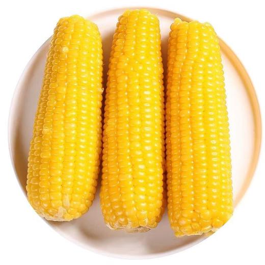 易中易有机糯玉米 | 轻食新选择.享自然本味 商品图2