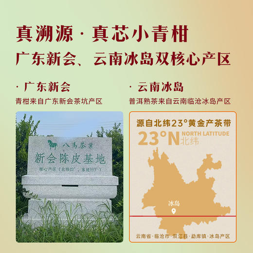 八马茶业 | 真芯·冰岛普洱茶(熟茶)、新会柑皮小青柑250g 商品图3