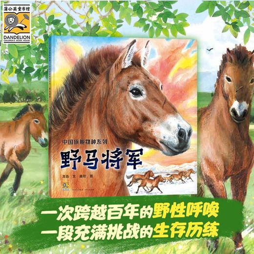 学龄前-2年级「中国旗舰物种」｜大象+雪豹+东北虎+熊猫+野马 商品图1