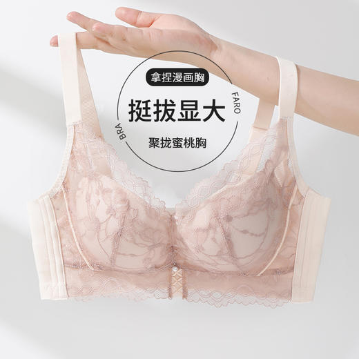 雅黛俪小胸聚拢显大女士内衣性感蕾丝提拉收副乳文胸罩 商品图2
