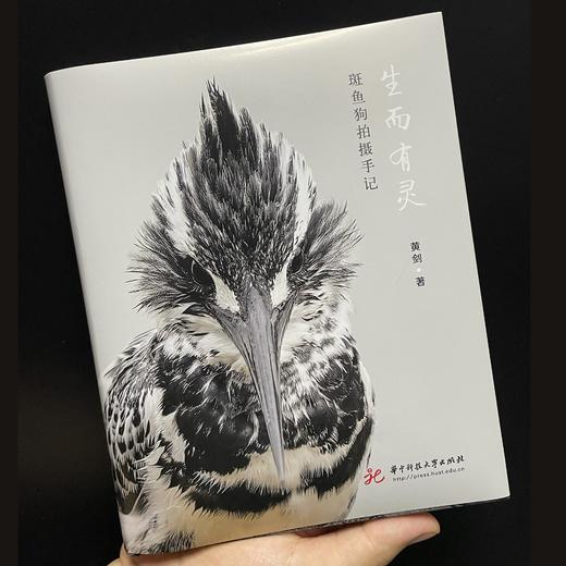 油麻菜老师丨生而有灵（首批签名版）   关于动物生命和爱的书 有温度/朴素/悲欣交加的书 假日阅读摄影手记 油麻菜老师著【不参与其他活动】 商品图2