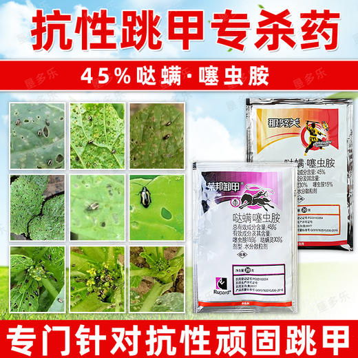 跳甲专杀药剂哒螨灵噻虫胺抗性黄条跳甲专用杀虫剂高含量农用正品 商品图3