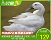 姥家来菌草白骛鸭礼盒（冷冻）/1只（780-900g）生产日期：25年11月补单专用 商品缩略图0