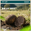 贡极松露 黑松露（10g*6） 商品缩略图3