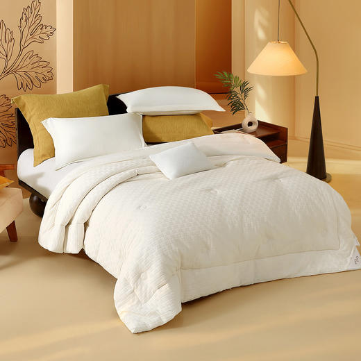 水星家纺抗菌四季被冬被被芯被子保暖A类艾草被家用床上用品严选 商品图0