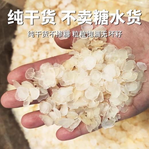 在菌屋 云南梁河单荚皂角米250g/罐 不熏硫不加糖 精选颗粒饱满的大籽手工剥壳 商品图1