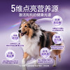 全价三拼犬粮试吃装50g 商品缩略图3