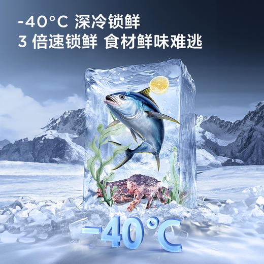 TCL大无界466升T9法式多门四开门58cm超薄零嵌入式底部散热双净味冰箱 R466T9-DQ 商品图6