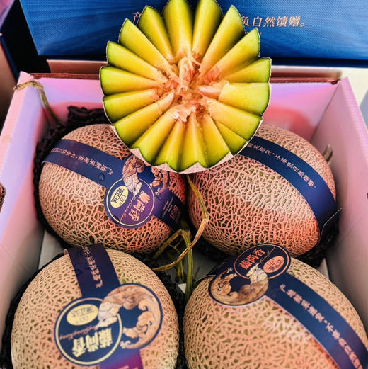 【高端某东同款静冈网纹瓜】出口级品质，伯格大粗纹冰淇淋枚龙蜜瓜，常温放软食用，香嫩多汁，源自日本进口品种，国内精心培育，爆款来袭！放软了吃可以用勺子挖着吃！ 商品图3