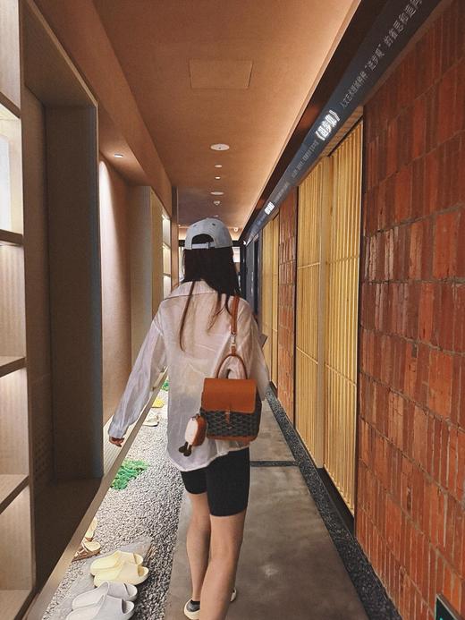 GZ237-戈雅goyard alpin迷你双肩包背包 三色合集(JF*MM) 商品图1