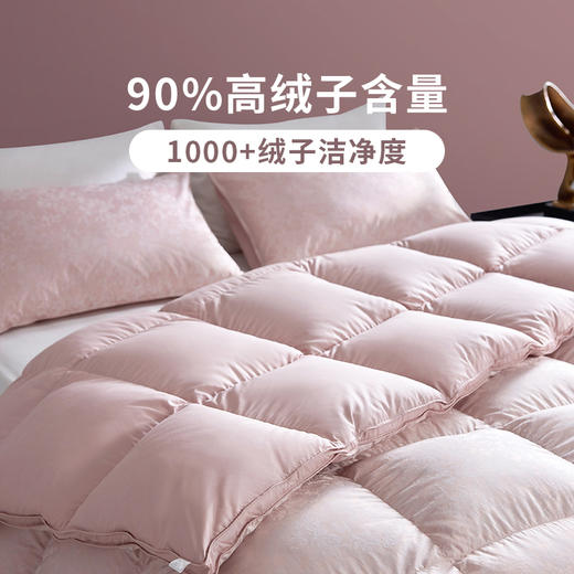 多喜爱 波兰进口奢绒90白鸭绒冬被-繁花粉意/魅野风尚hl【90%绒子含量】【1000+洁净度】【防钻绒面料】3D航空仓设计 轻盈蓬松 PU手提包 商品图1
