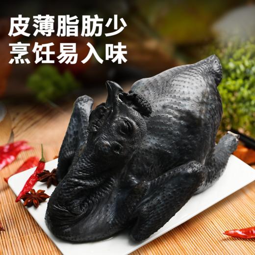 【东上御品 山间散养乌鸡 】1000g*2只 商品图3