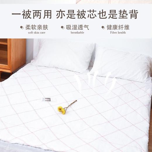【加厚棉絮棉被】超市加厚褥子 学生宿舍春秋被子被芯 夏凉被垫被 3-10斤可选 商品图2