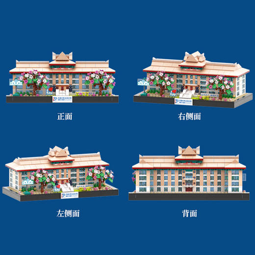 天大地标-第九教学楼积木摆件 商品图5