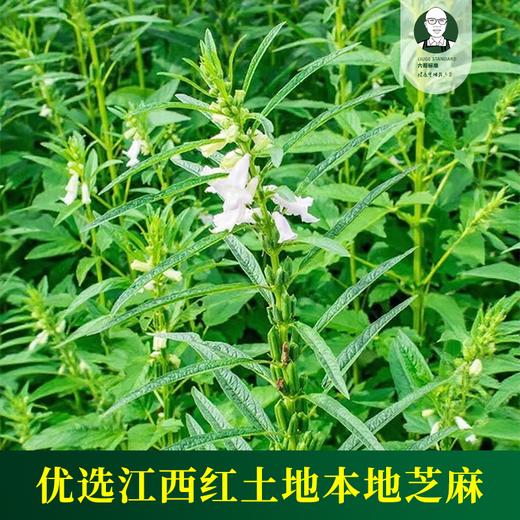 六哥标准有机黑/白芝麻酱 商品图2