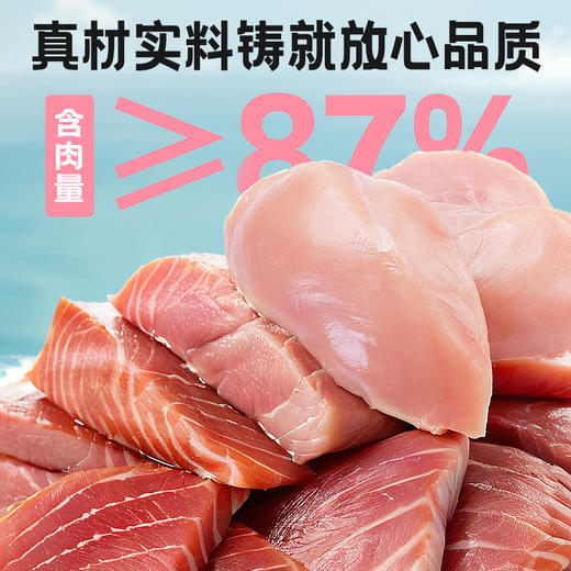 伊纳宝 猫用宠物零食 烤海鲜饼 鱼汤味、扇贝味、鱿鱼味30g*48袋/箱 商品图2