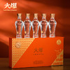 【入口甘美 香气持久 酒花绵密饱满】五粮液火爆冠军礼盒 52%vol 浓香型(100ml*5) 商品缩略图0