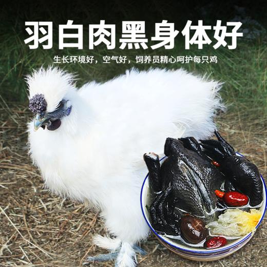 【东上御品 山间散养乌鸡 】1000g*2只 商品图1