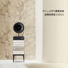 梵尼诗 i5国家大剧院联名黑胶唱片机HiFi留声机蓝牙音响 商品缩略图3