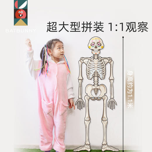 【3岁+】熊小野 我的骨怪朋友——人体骨骼拼图 商品图2