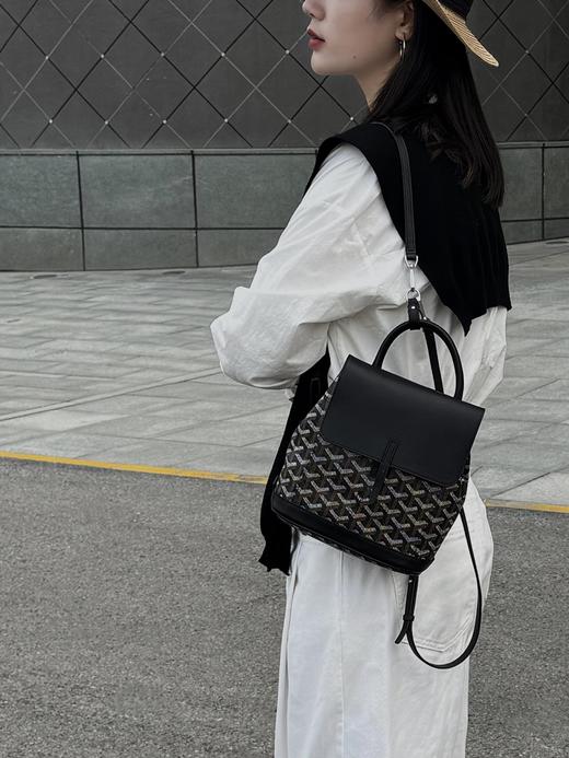 GZ237-戈雅goyard alpin迷你双肩包背包 三色合集(JF*MM) 商品图6