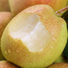 新疆库尔勒香梨 | 5斤/箱 脆甜多汁 皮薄肉厚 产地直发 应季水果 商品缩略图1