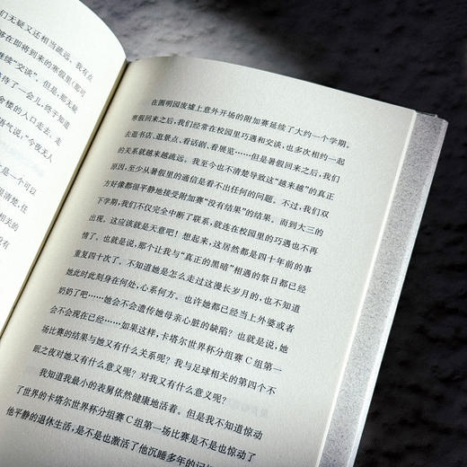 故乡人 薛忆沩短篇小说集 故乡怀念 精装 商品图12