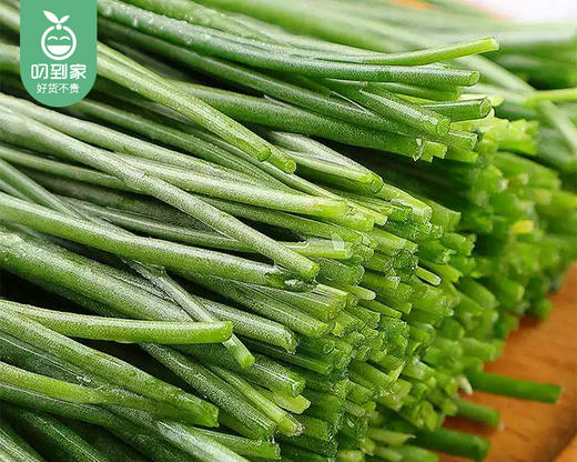 【叼鲜蔬】甘肃高原新鲜沙葱/1份（约200g） 商品图1