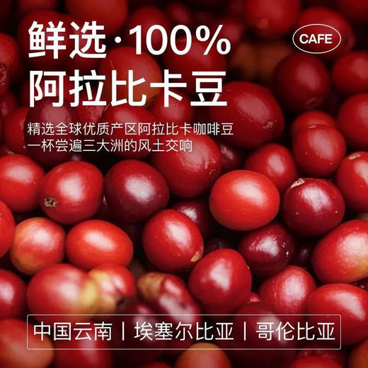 花田萃铂金拼配挂耳咖啡6袋装 商品图2