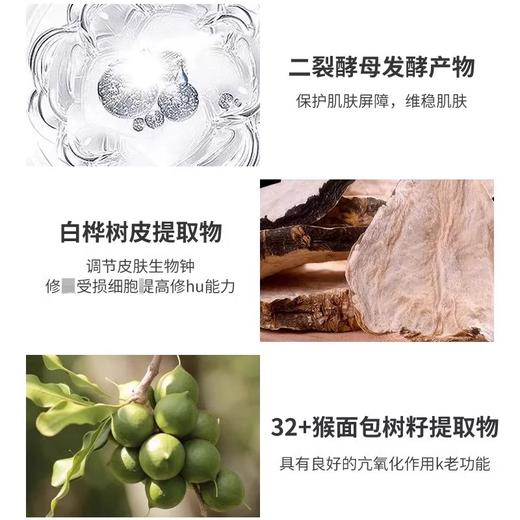 【保税仓】雅诗兰黛小棕瓶精华露15ml*1/3瓶（效期：2027/08） 商品图1