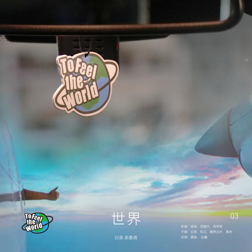 侣行 车载香片车内挂件香氛装饰摆件衣柜香氛片 商品图3