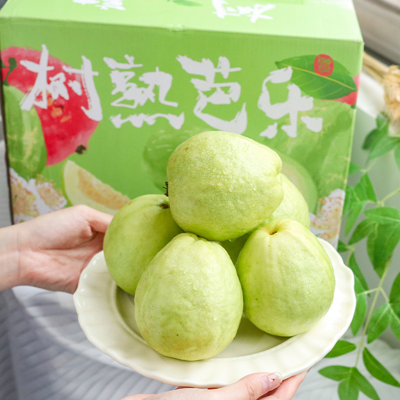 【好吃的】广西 奶油芭乐 香甜可口 绵密软糯 彩箱装