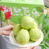 【好吃的】广西 奶油芭乐 香甜可口 绵密软糯 彩箱装 商品缩略图0