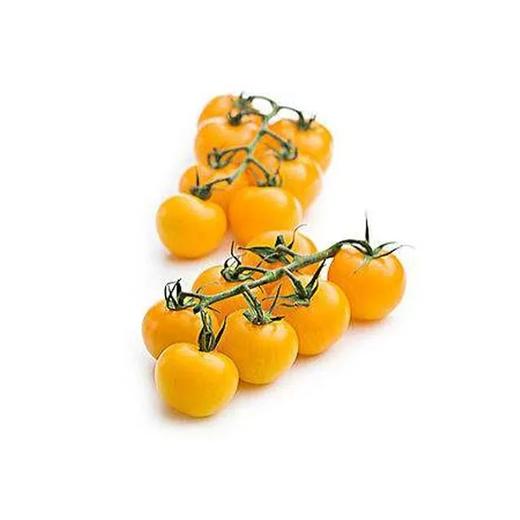 【超市】良道 有机西红柿（黄）500g（买三赠一，赠品请备注） 商品图0