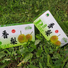 新疆库尔勒香梨 | 5斤/箱 脆甜多汁 皮薄肉厚 产地直发 应季水果 商品缩略图7