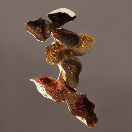 森晒「黄金陈皮」金御礼礼盒-时序三味120g【龙菲精选】【佳人严选】 商品图1