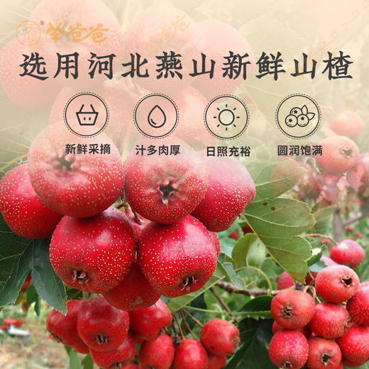 【羊爸爸专场】山楂210g(7袋) 商品图2