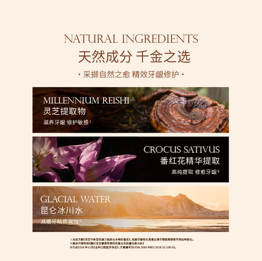 品牌直发 GraceSmile 维笑 灵芝护龈纯净牙膏 120g 静奢森香香型 / 雅愈茶芳香型 商品图3