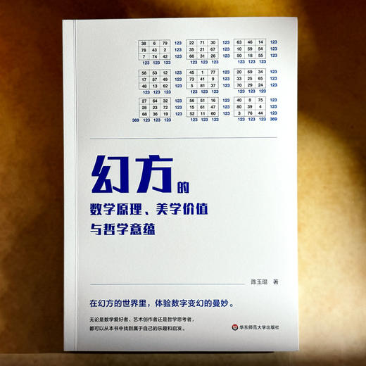 幻方的数学原理 美学价值与哲学意蕴 数学幻方科普图书 初等算术 陈玉琨 商品图1