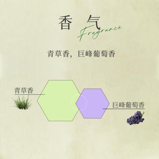 赏丨紫菁香 有机红茶 特级 50g（银色罐装/补充装） 商品图7