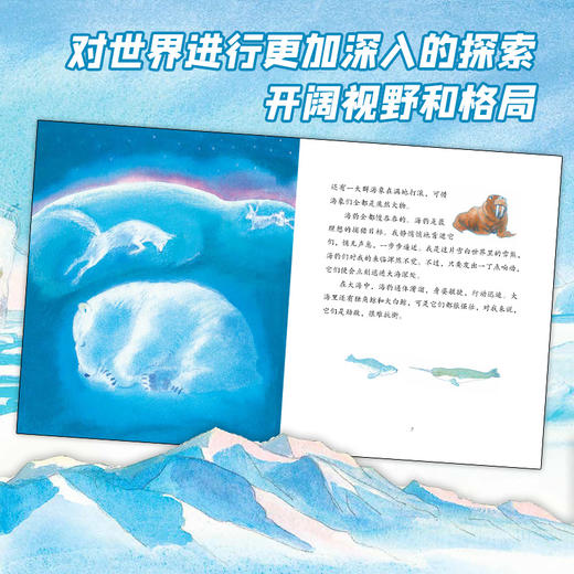 3-5年级【蒲公英童书】英国桂冠作者：莫波格现实题材儿童小说 商品图2