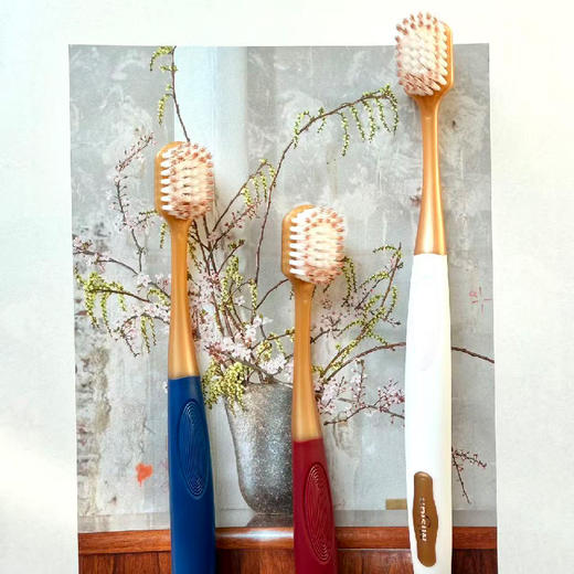 茗诗洁宽柔绵感净齿牙刷（6支装）（250551） 商品图4