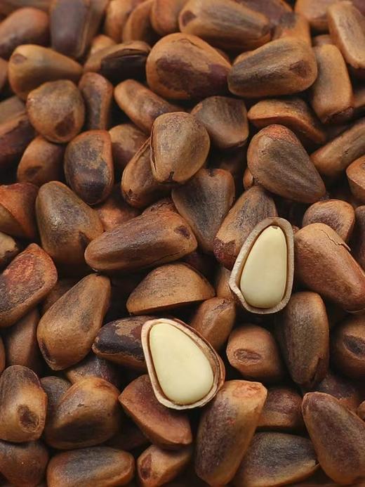 佰年松宝开口红松籽|自然开口 ，一口松香，满口营养，饱满酥脆【清明期间正常发货】 商品图4