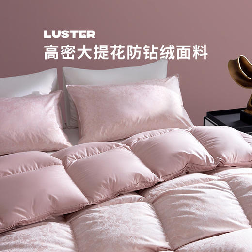 多喜爱 波兰进口奢绒90白鸭绒冬被-繁花粉意/魅野风尚hl【90%绒子含量】【1000+洁净度】【防钻绒面料】3D航空仓设计 轻盈蓬松 PU手提包 商品图3