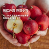 企鹅市集|新疆伊犁 香妃海棠果3斤/4斤装 酸甜浓郁 风味集中饱满 商品缩略图3